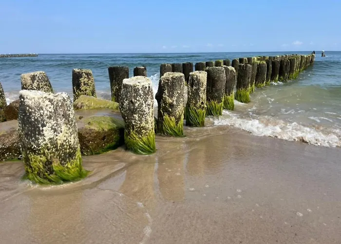 Dom4 Mit Wasserblick By Interhome בית נופש סרבינובו