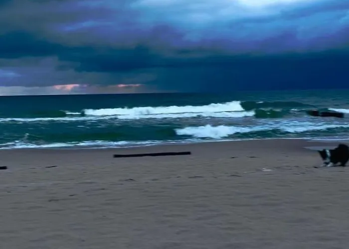 Dom4 Mit Wasserblick By Interhome בית נופש