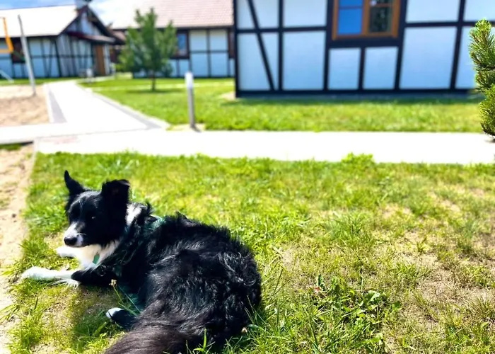 Dom4 Mit Wasserblick By Interhome *