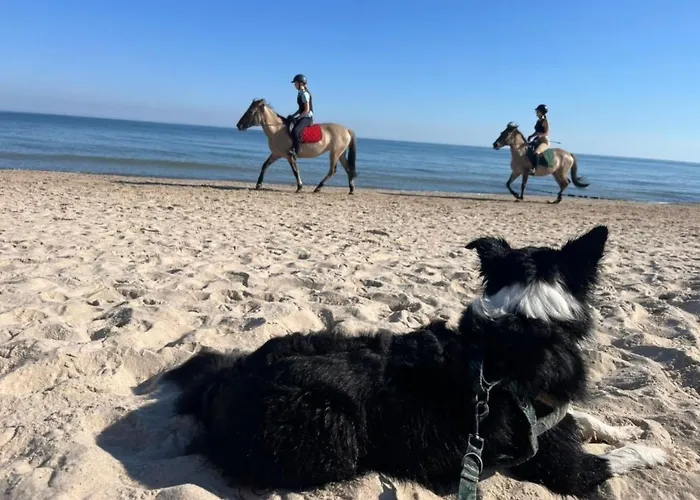 Dom4 Mit Wasserblick By Interhome * סרבינובו